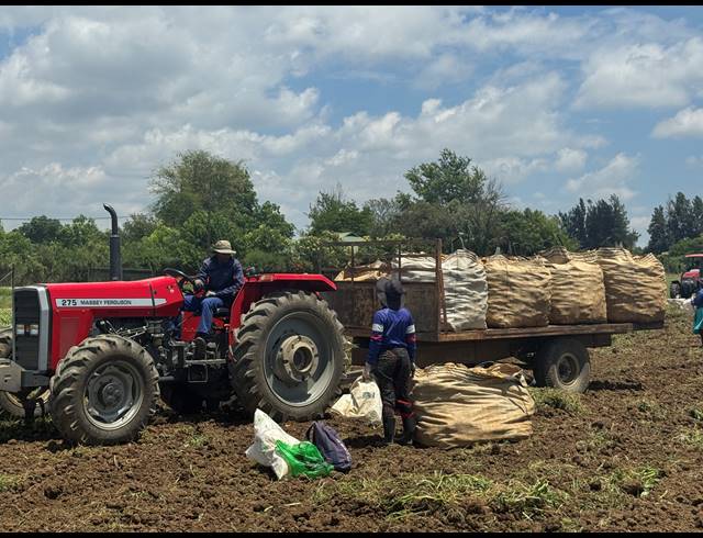 12HA FARM FOR SALE IN WEENEN